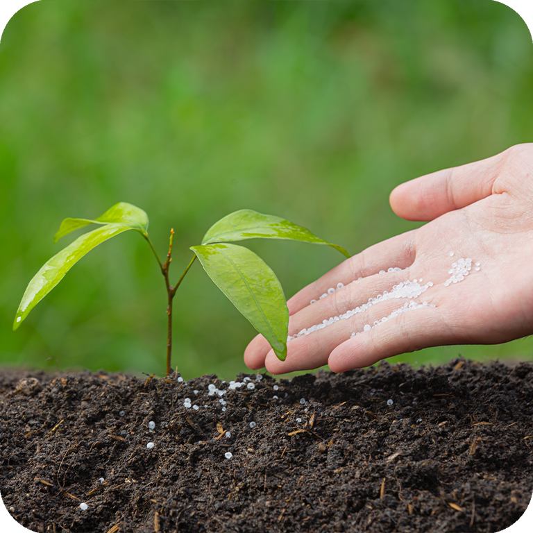 granular fertilizer granular fertilizer